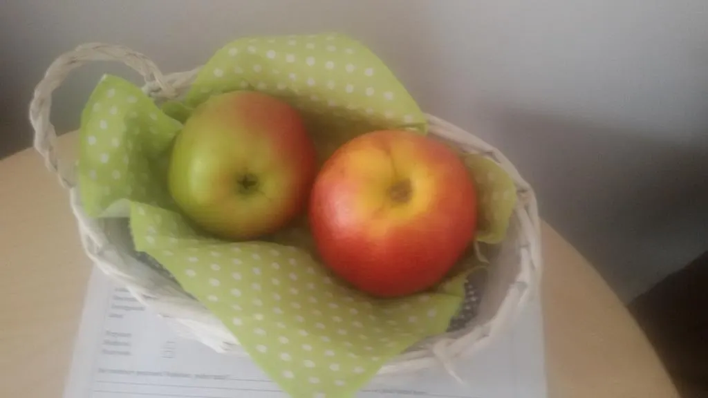 Séjour chez l'habitant Apple Inn Varsovie Pologne